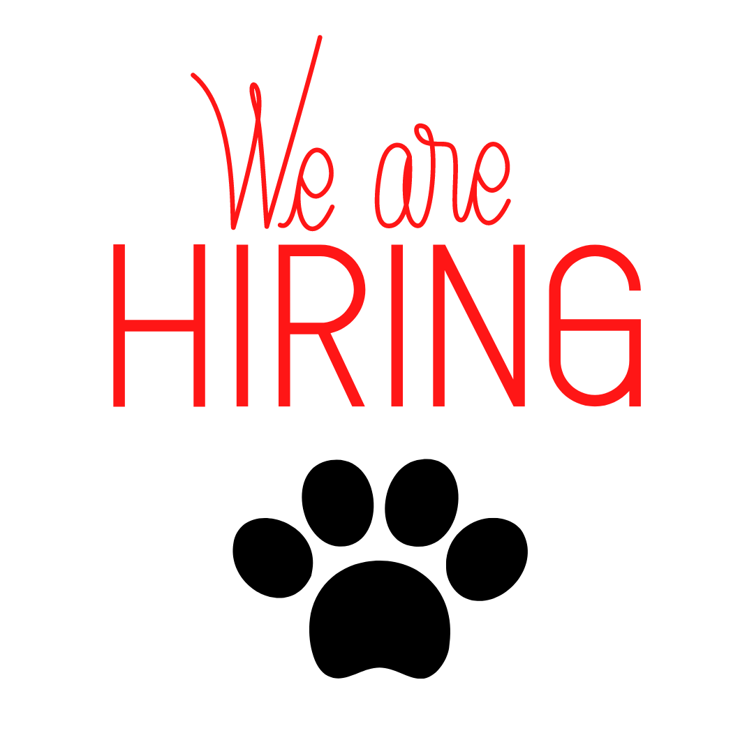 employment-opportunities-lakeshore-paws