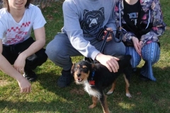 Pupito